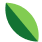 feuille